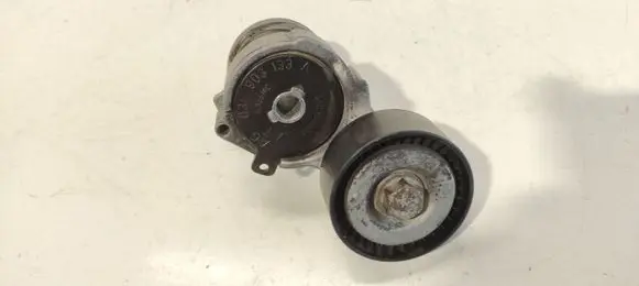 Volkswagen Fox Alternator belt tensioner 03E903133A 440363000