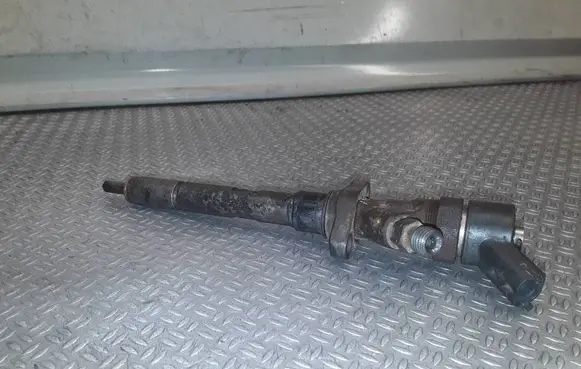 Lancia Phedra Fuel injector 9653344880 0445110036