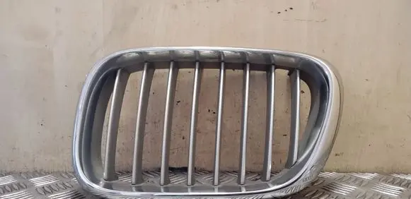BMW X5 E53 Front grill 51138247673 8247673