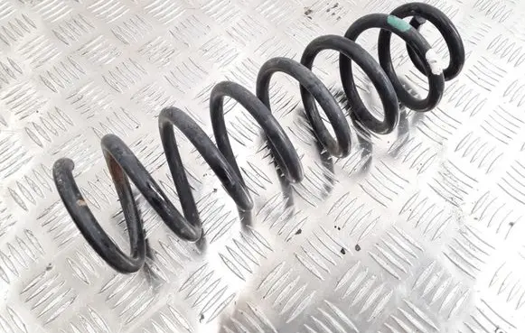 Rear coil spring