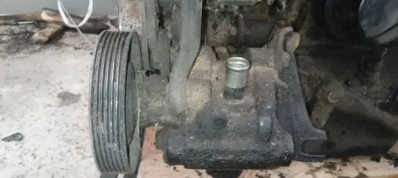 Renault 19 Power steering pump