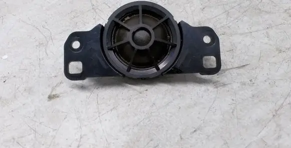 Front door high frequency speaker