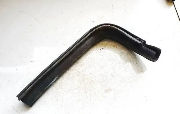 Renault Zoe Rubber seal front coupe door m807d