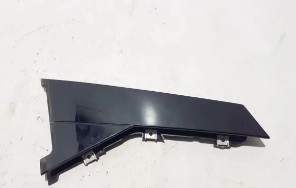 Rear door trim (molding)
