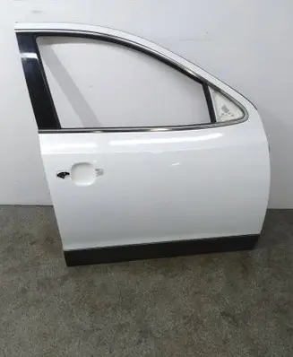 Hyundai ix 55 Front door