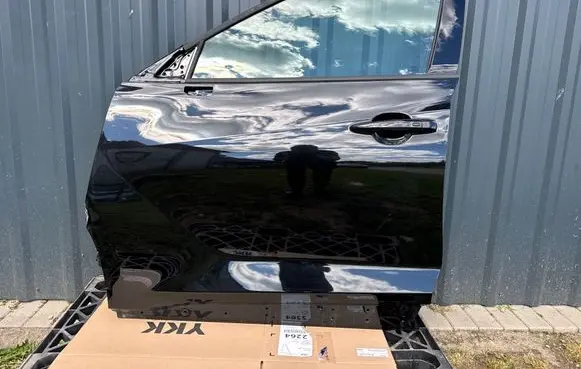 Nissan Juke II F16 Front door 