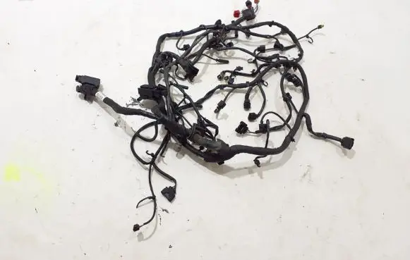 Engine installation wiring loom
