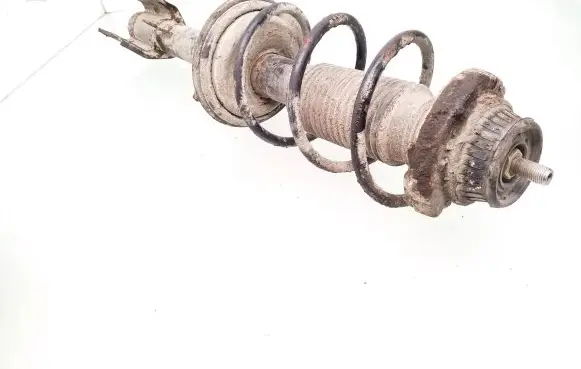 Alfa Romeo 147 Rear shock absorber with coil spring 