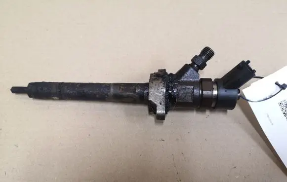 Citroen C4 I Fuel injector 0445110259