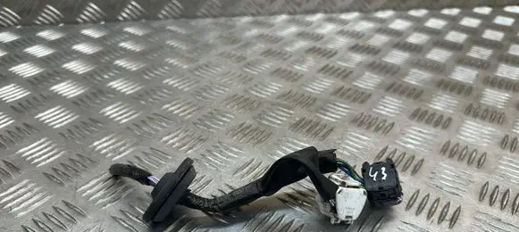 Lexus UX Other wiring loom 11077