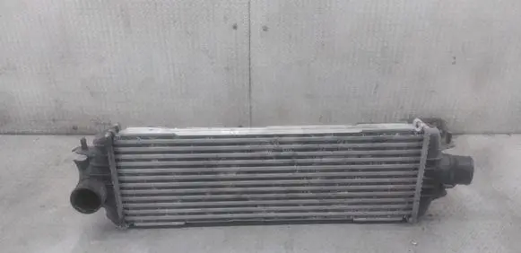 Opel Vivaro Intercooler radiator 93850461