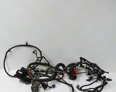 Tesla Model S Other wiring loom 100909604H