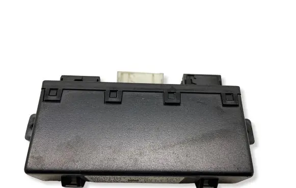 BMW 5 E39 Door control unit/module 6904255 F00098244 689667