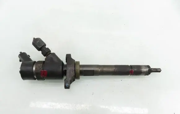 Citroen Xsara Picasso Fuel injector 0445110188