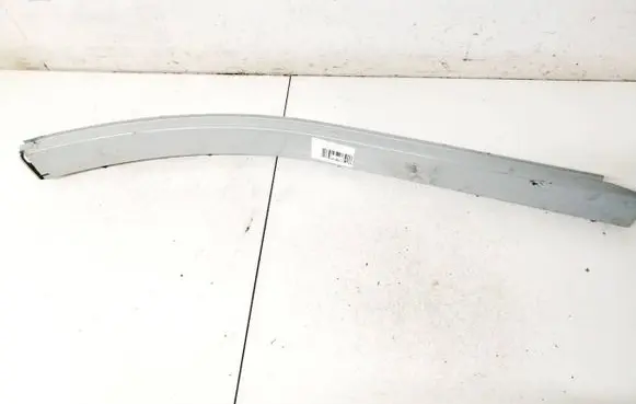 Chrysler Grand Voyager IV Sliding door trim 