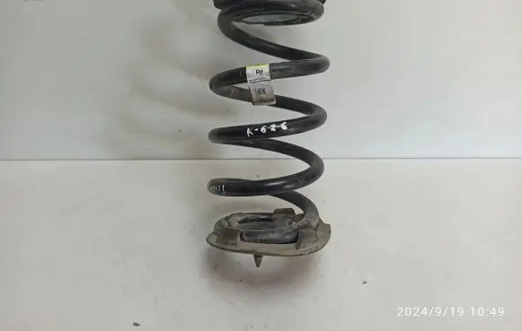 Tesla Model Y Rear coil spring 118847500D