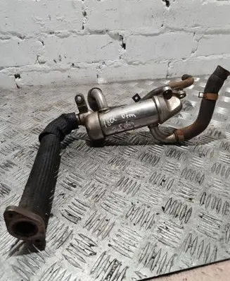Hyundai H-1, Starex, Satellite EGR valve cooler