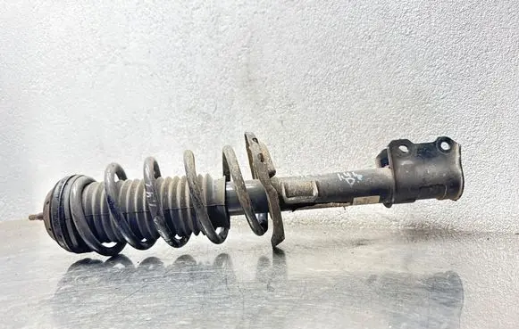 Opel Meriva B Front shock absorber with coil spring 22245142 13268957 03111709