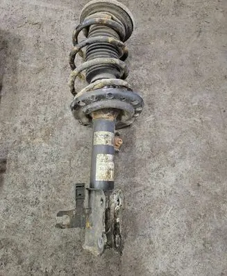 Opel Signum Front shock absorber with coil spring 824903014935 312611