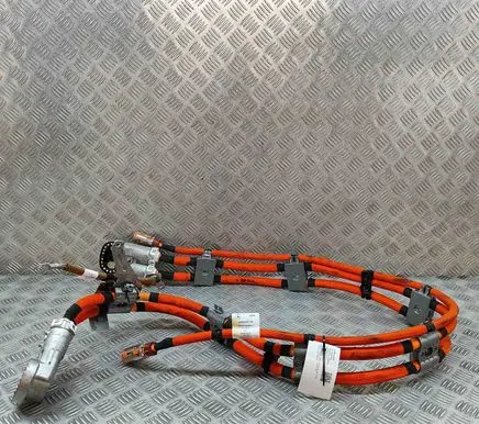 Mercedes-Benz EQE v295 Other wiring loom A2955407106