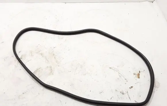 Nissan Pathfinder R51 Rubber seal front door (on door) 76921EB31A