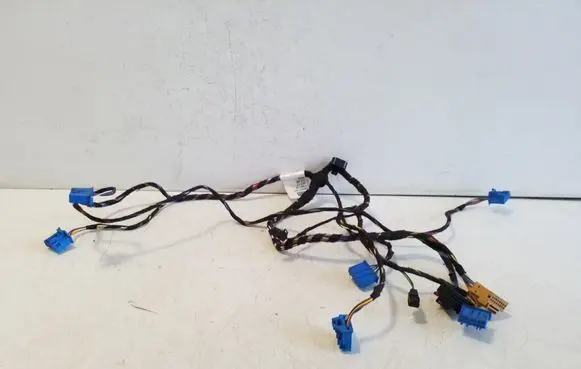 Other wiring loom