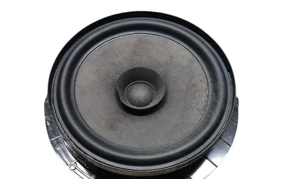 Rear door speaker
