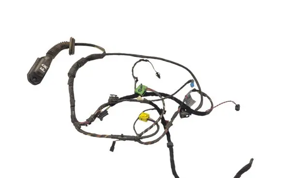 BMW 5 E60 E61 Front door wiring loom 6925925 14206010