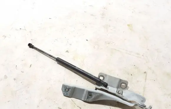 Renault Arkana Engine bonnet/hood hinges 654000882R