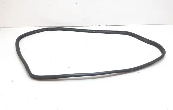 BMW X6 M Rear door rubber seal (on body) 7234933