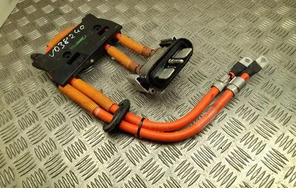 Other wiring loom