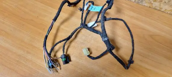 Chevrolet Epica Rear door wiring loom 850088