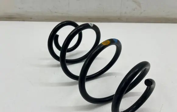 Rear coil spring