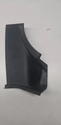 Rear/tail light trim molding