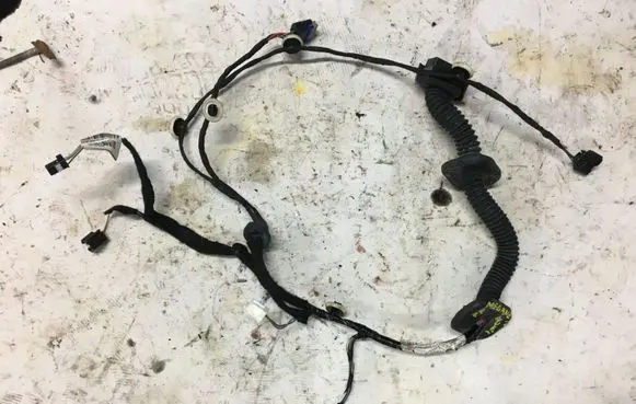 Renault Megane IV Front door wiring loom 241251656R