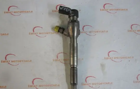 Nissan Bluebird Sylphy II Fuel injector H8200294788