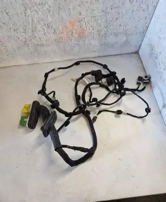Front door wiring loom