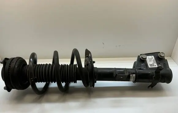 Chrysler Pacifica Front shock absorber with coil spring P68294077AF