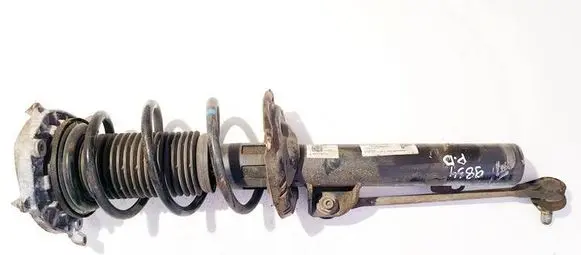 Cupra Born Front shock absorber/damper 1ea412013dh