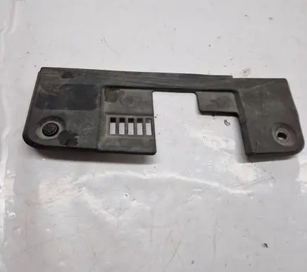 Engine bonnet/hood lock trim molding