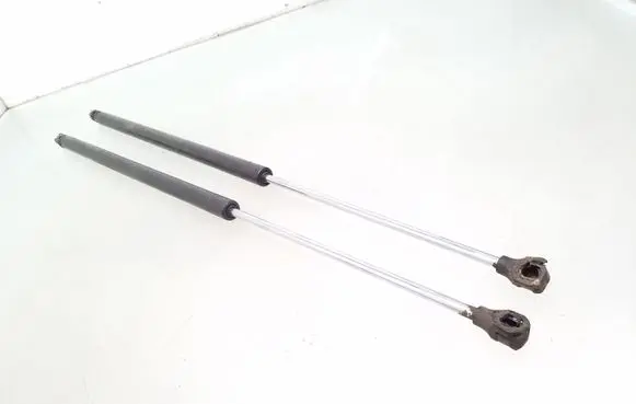 Citroen Berlingo Tailgate/trunk strut/damper 