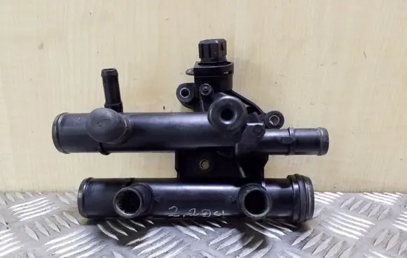 Thermostat/thermostat housing