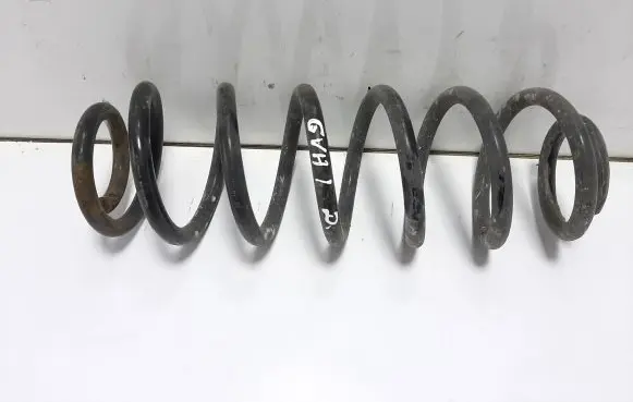 Rear coil spring