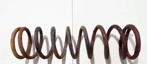 Ford Focus Rear coil spring