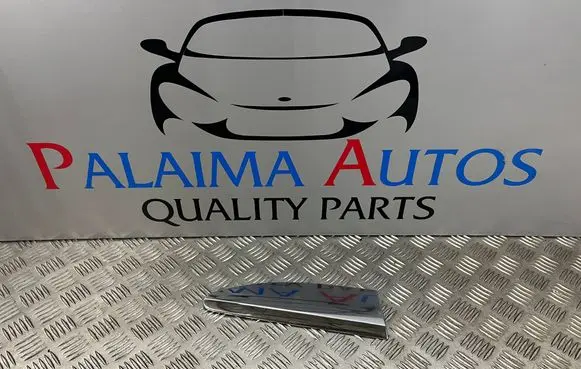 Citroen DS3 Trim molding 9800069377