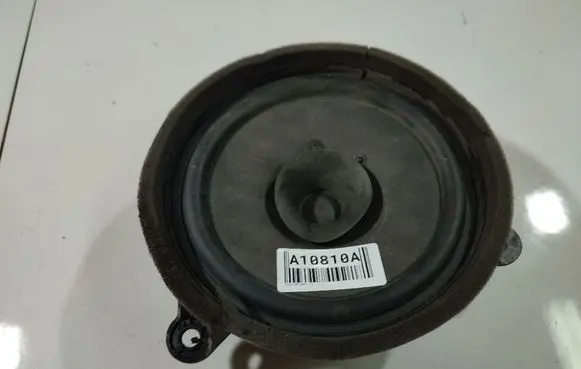 Volvo V50 Front door speaker