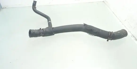 Renault Scenic I Engine coolant pipe/hose