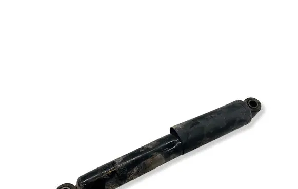 Fiat Ducato Rear shock absorber with coil spring 560926 082024