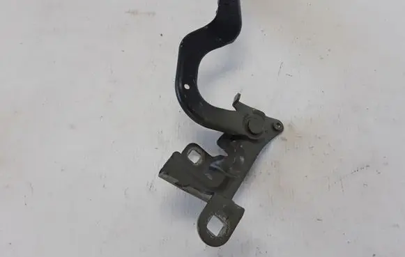 Renault Captur Engine bonnet/hood hinges 654011593R