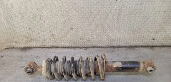 Citroen C5 Rear shock absorber with coil spring